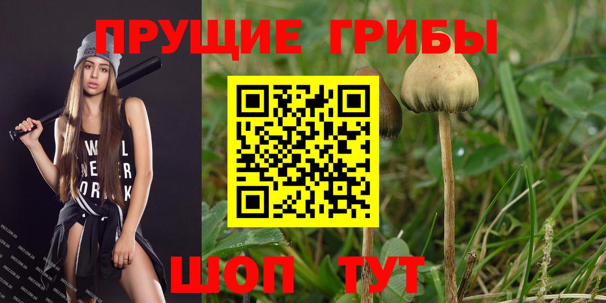 Псилоцибиновые грибы GOLDEN TEACHER Новокубанск