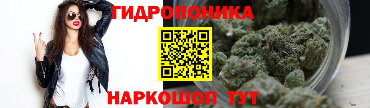 Каннабис White Widow Новокубанск